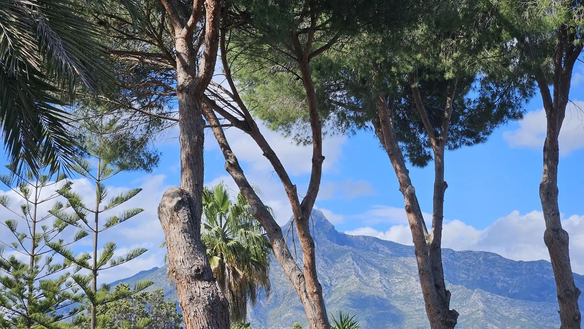 Pensión Palacio Suites Marbella
